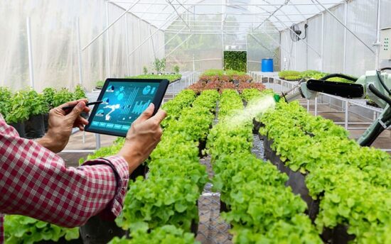 AI sensors for smarter farming